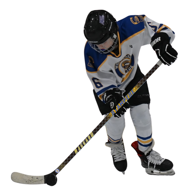 West Fargo Stampede - Youth/Junior Sticks image 0