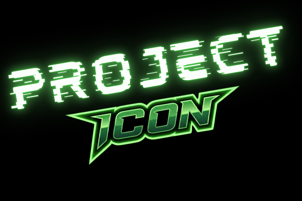 Project ICON Adult Hockey Stick