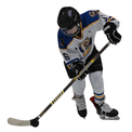 West Fargo Stampede - Youth/Junior Sticks image 0