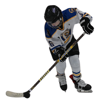 West Fargo Stampede - Youth/Junior Sticks image 0