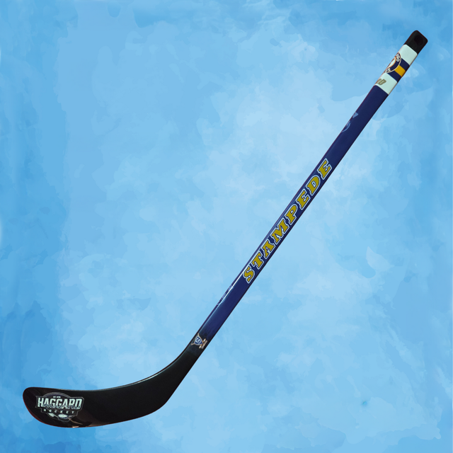 West Fargo Stampede Mini Sticks image 0